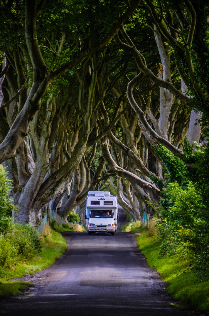 irlanda del nord the dark hedges