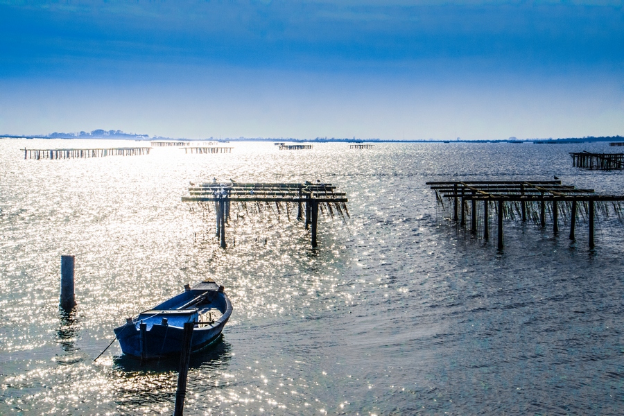 delta del po pesca oasi allevamento