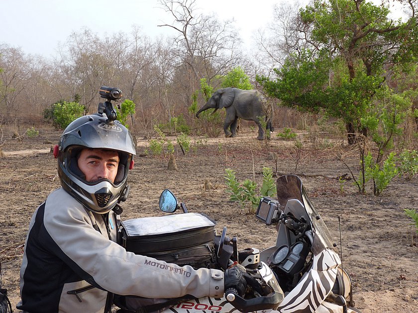 elefante-riserva-moto