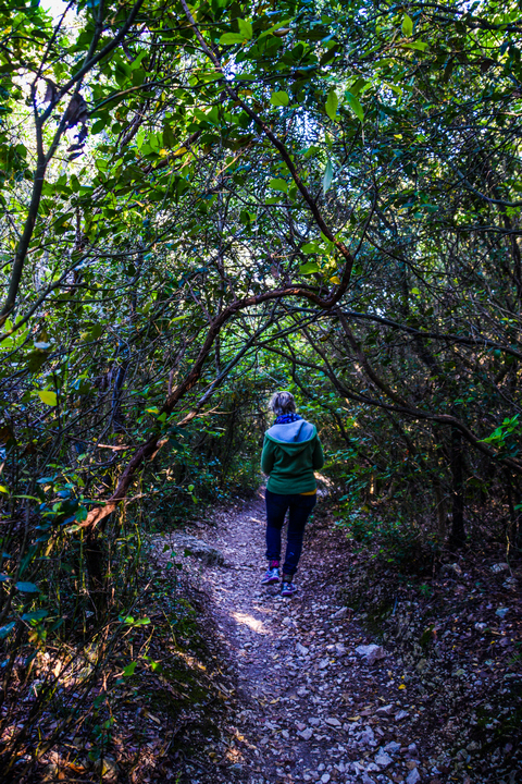 sul sentiero del passo del lupo