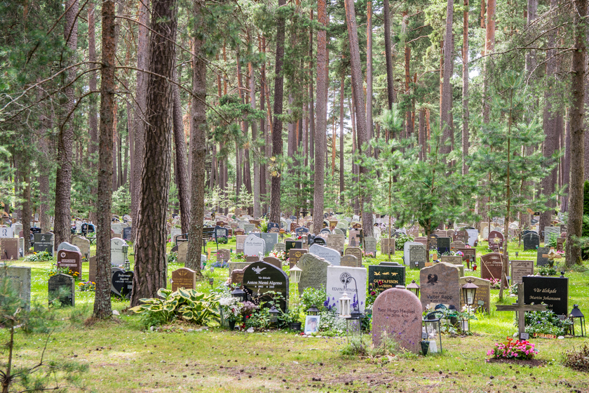 Le semplici tombe tra gli alberi al cimitero Skogskyrkogården, Patrimonio dell’UNESCO